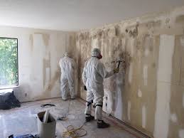 Best Mold Remediation for Healthcare Facilities  in Hoffman Estates, IL